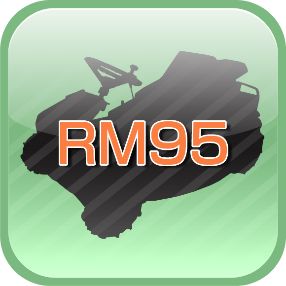 RM95
